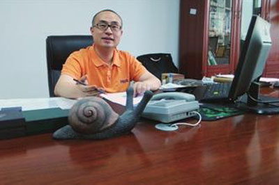 高效，安全，質量，是我對勁浪科技唯有的印象